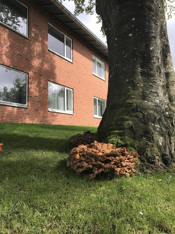 Hotel Jernbanegade Kibæk Buitenkant foto